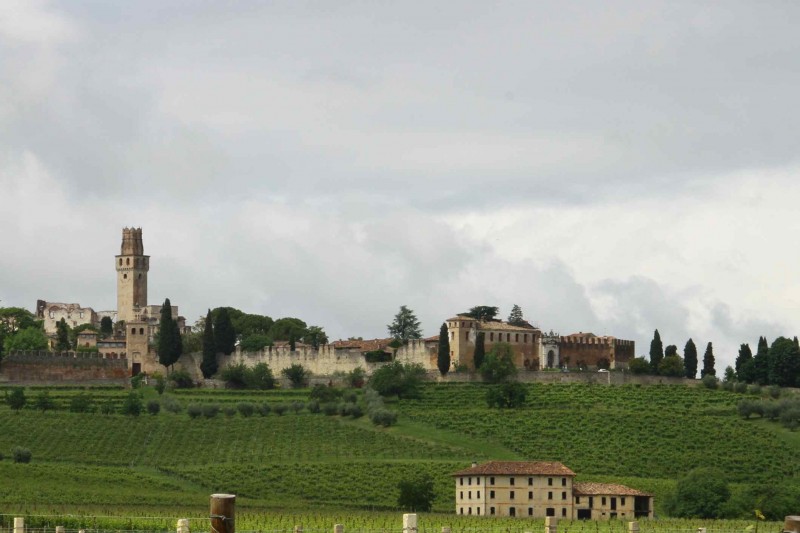 Il Castello di San Salvatore di Susegana (TV) - Foto Gianpaolo Giacobbo