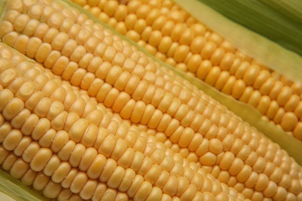 Questione di sovranità alimentare