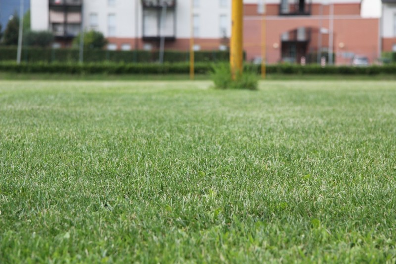 In foto il campo di Cà Barancello rigenerato dopo i lavori eseguiti sul manto erboso