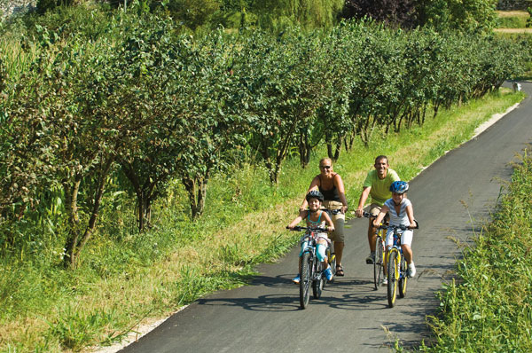 Pista danzante