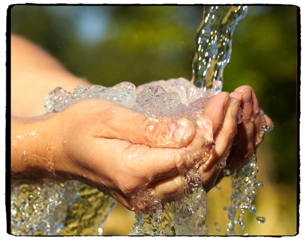 Acqua di Fonte
