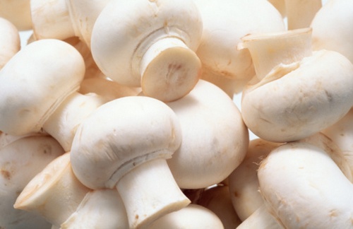 Andar per funghi in città e dintorni