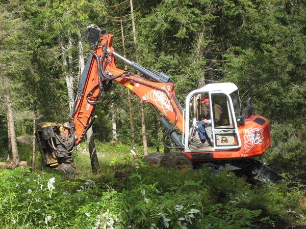 Lavori in bosco
