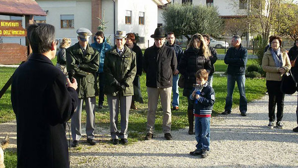 Per fare un albero...