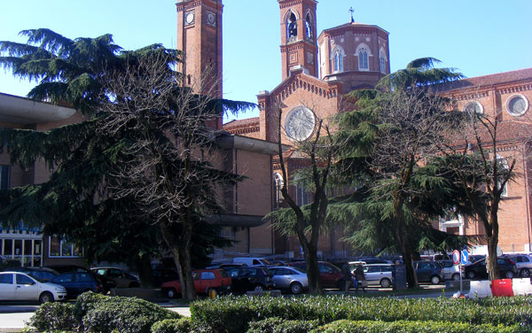 Gli alberi del Don