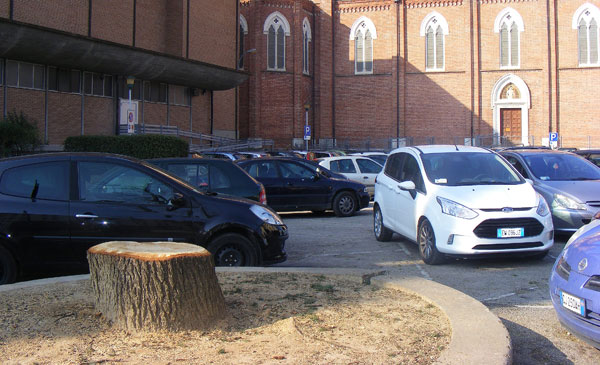 Licenziati in tronco
