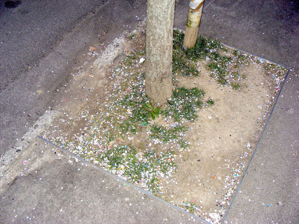 Viale Venezia