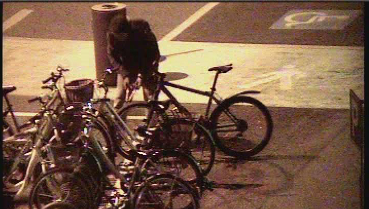 Mai dire Bike