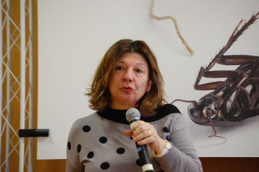 Il gelsomino egeo