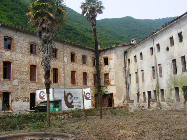 Il Libro della Giungla