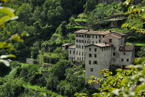 La terra del tabacco