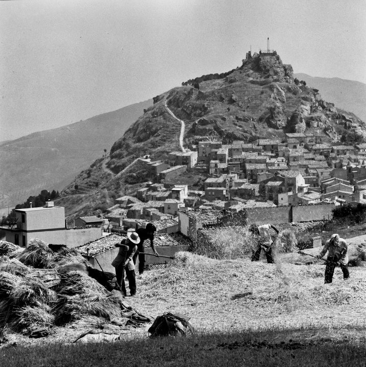 Il bianconero di Maccà