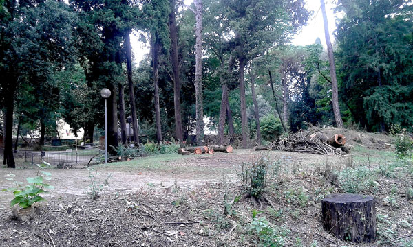 Il giardino fatato