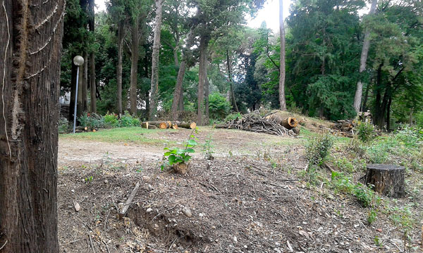 Il giardino fatato