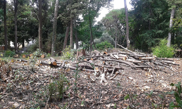 Il giardino fatato