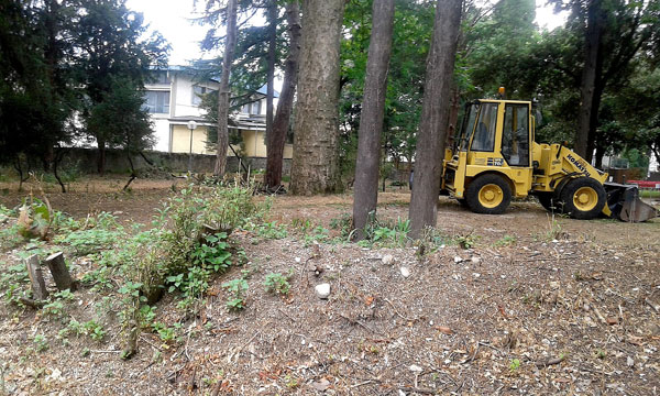 Il giardino fatato