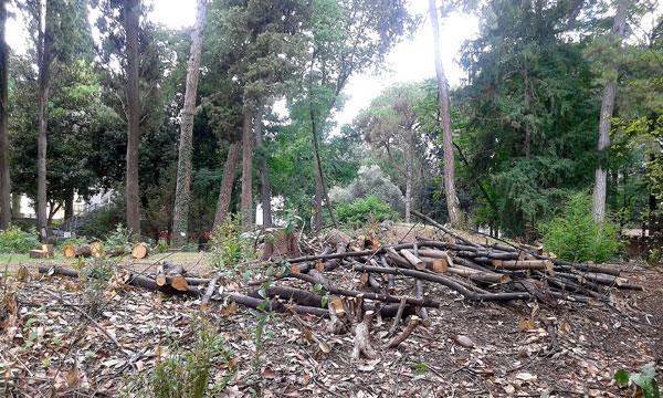 Il giardino fatato