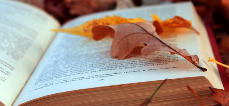 Domenica... in Biblioteca!
