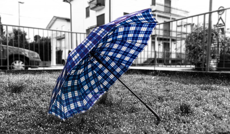 L'omblello aflicano