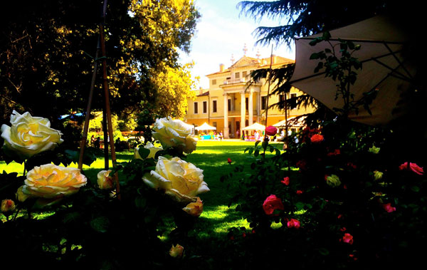 La Guerra delle Rose