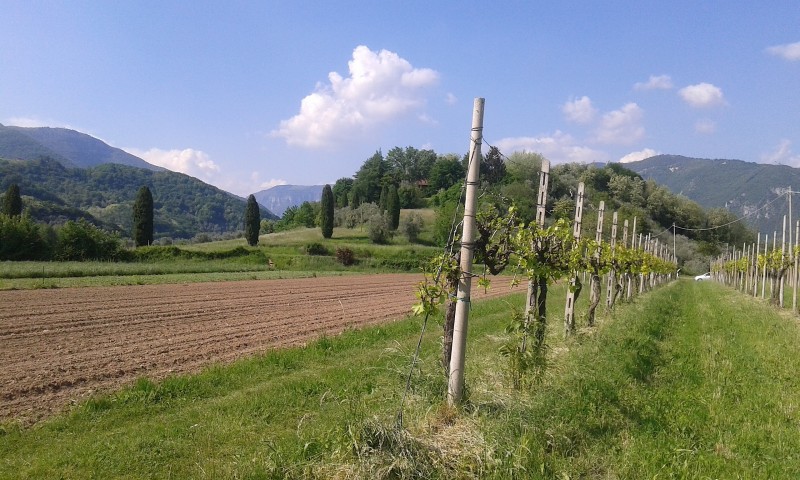 Attenzione: buche