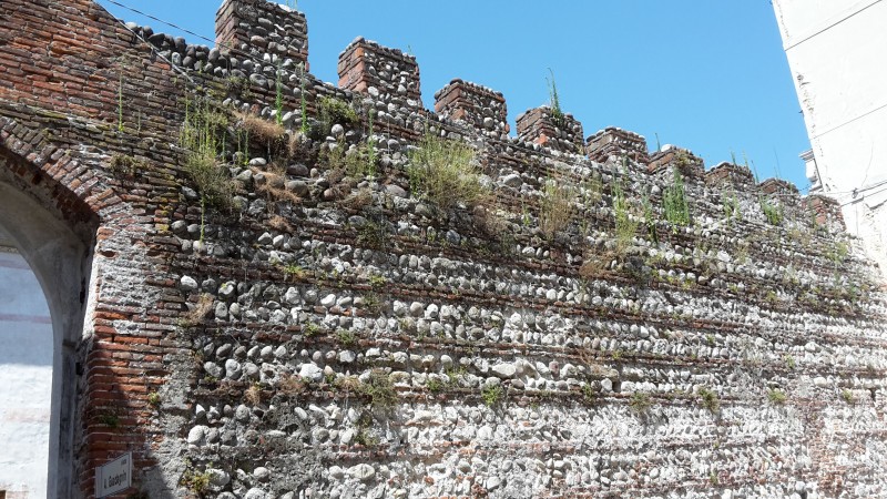 L'erba del vicino