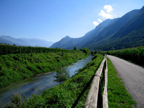 Piste di asfalto