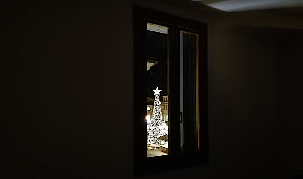 La finestra sull'albero