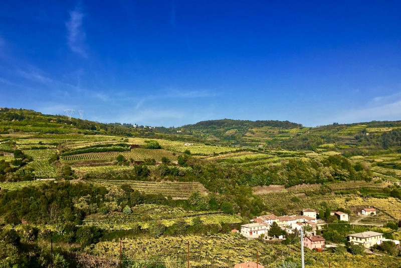 Autoctono Wine & Food Tour 2017