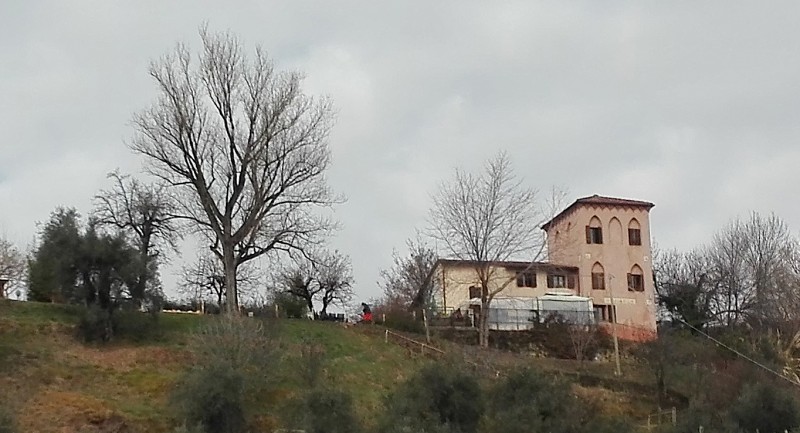 Testa o Crocetta