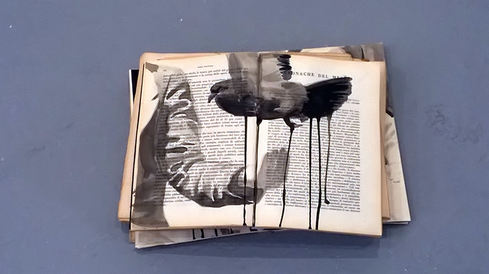 Modalità lettura – n.0
