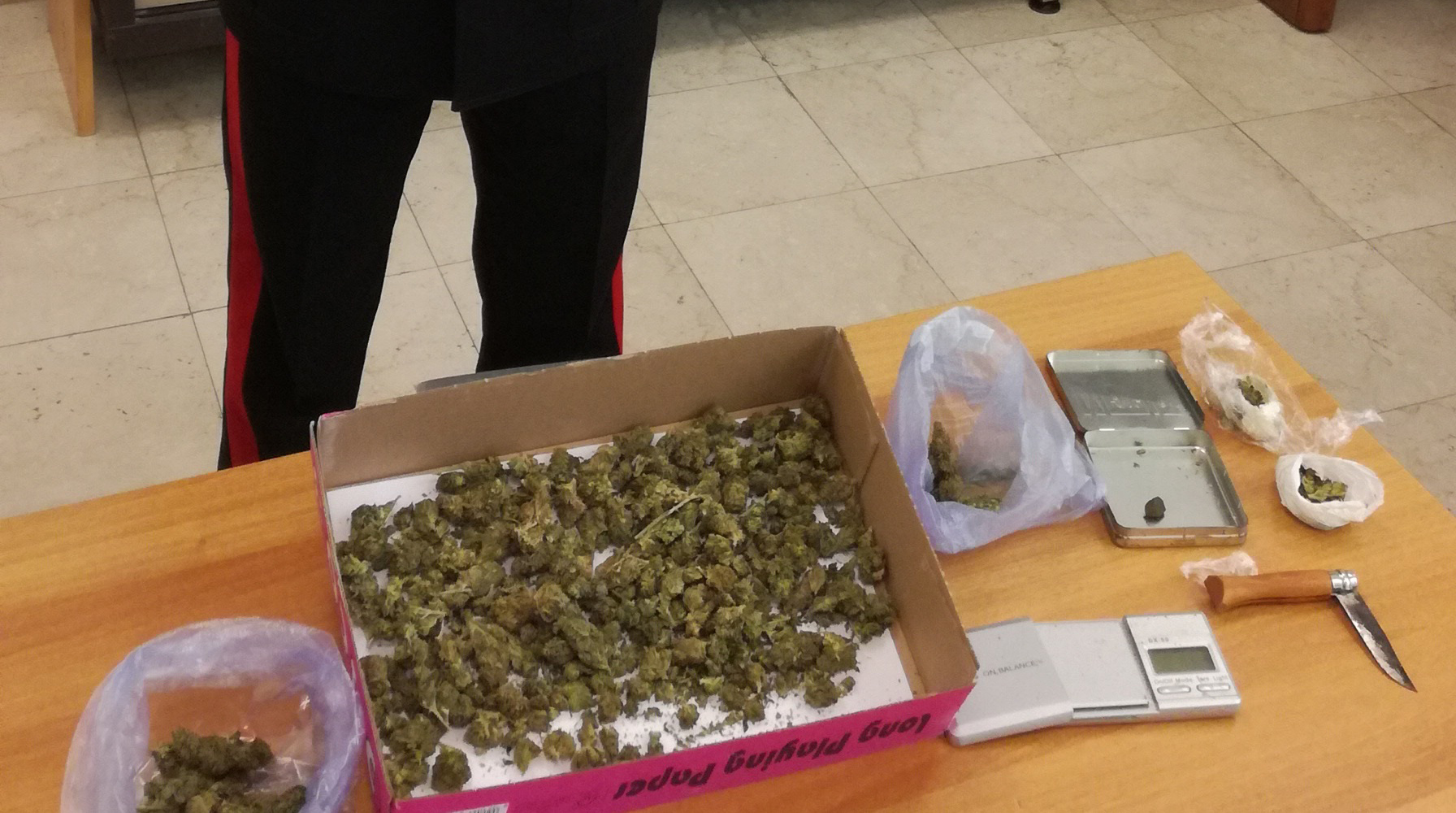 Il materiale sequestrato dall'Arma