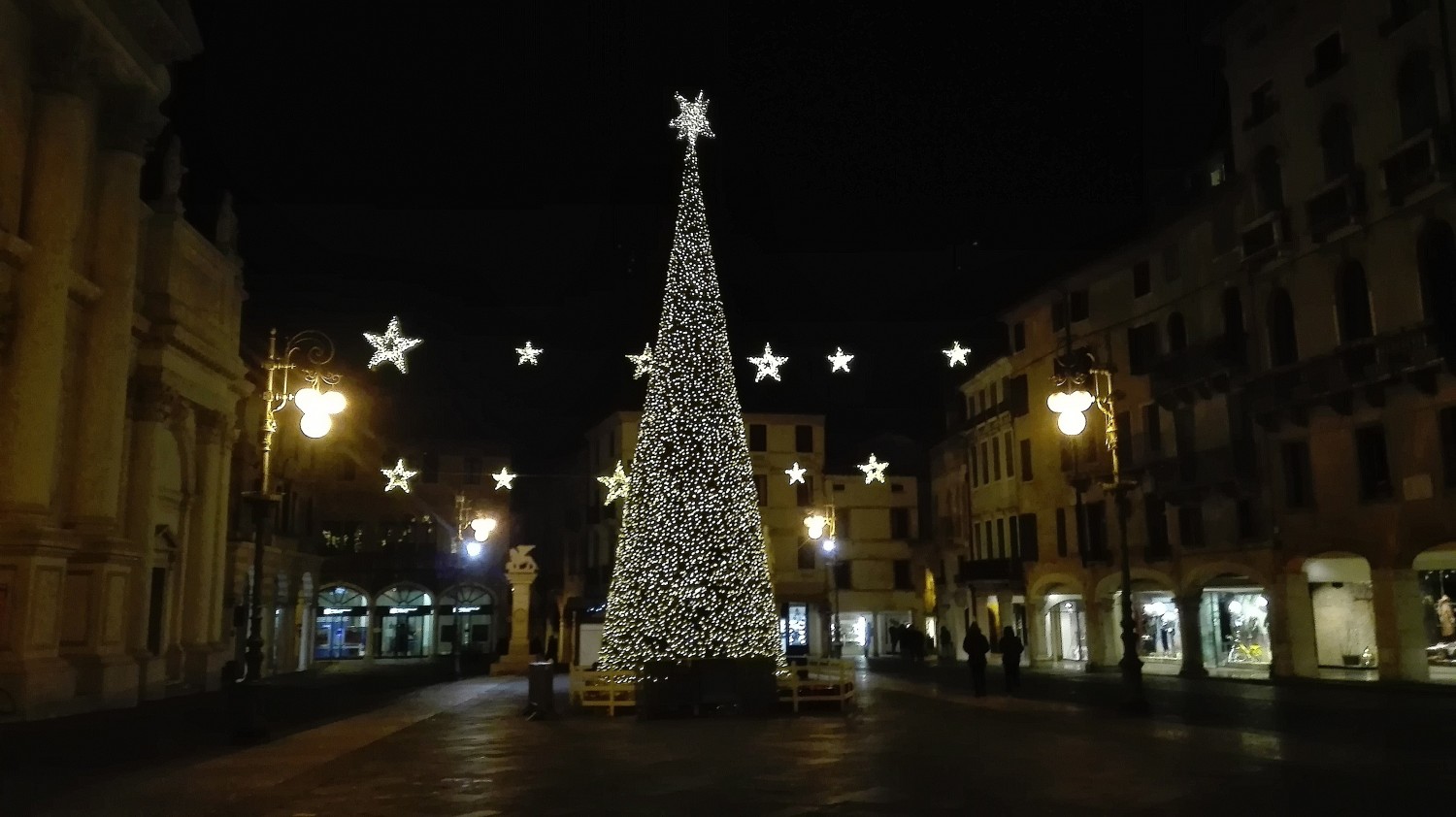 Più Cunico che raro