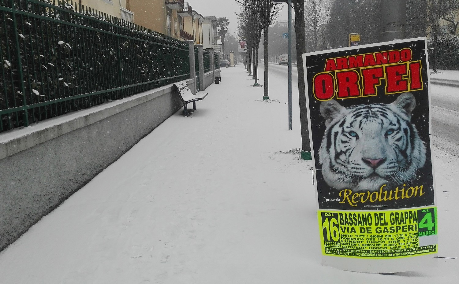 La tigre e la neve