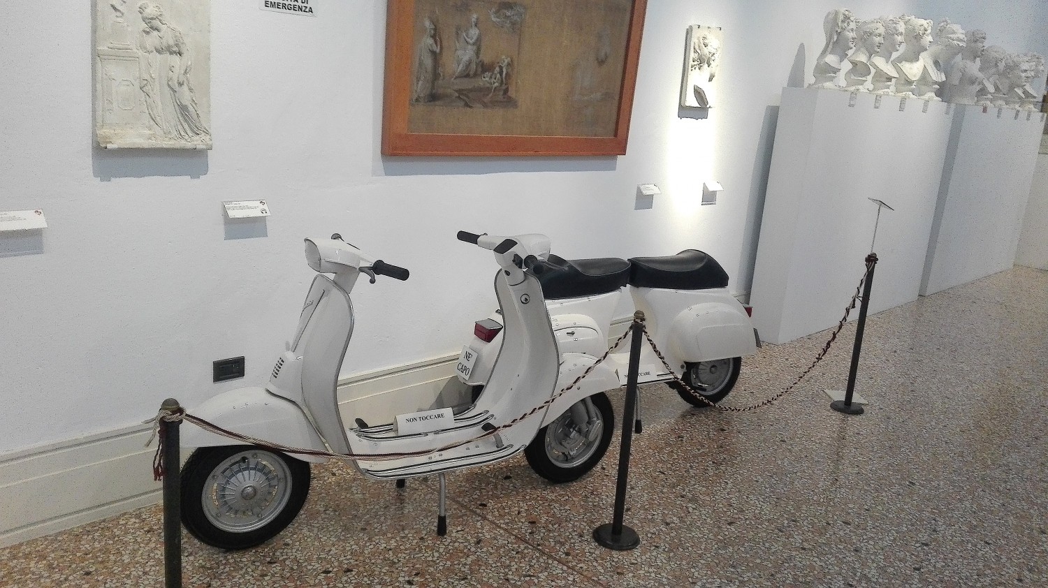 Il Museo Cinico