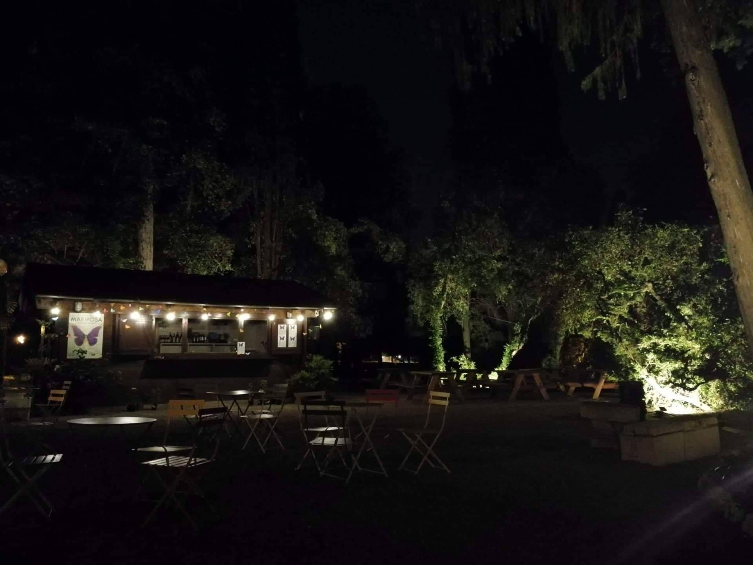 La parola al contemporaneo