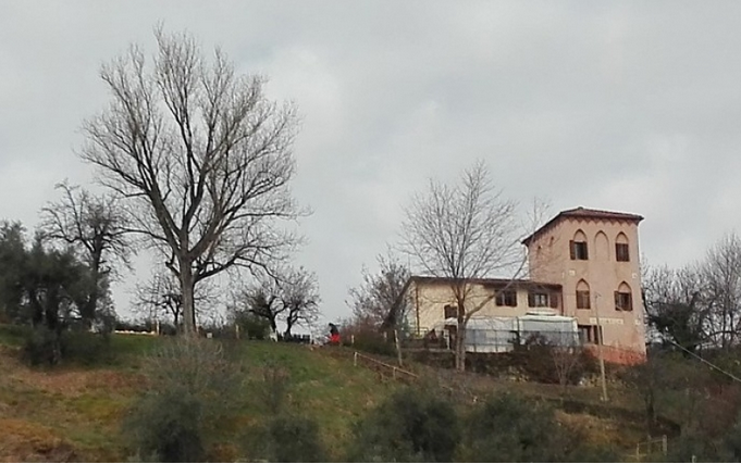 El bar de Montecruz