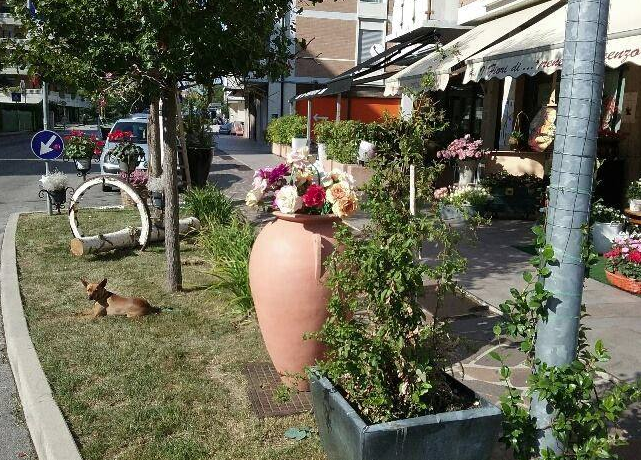 Fiori di testa