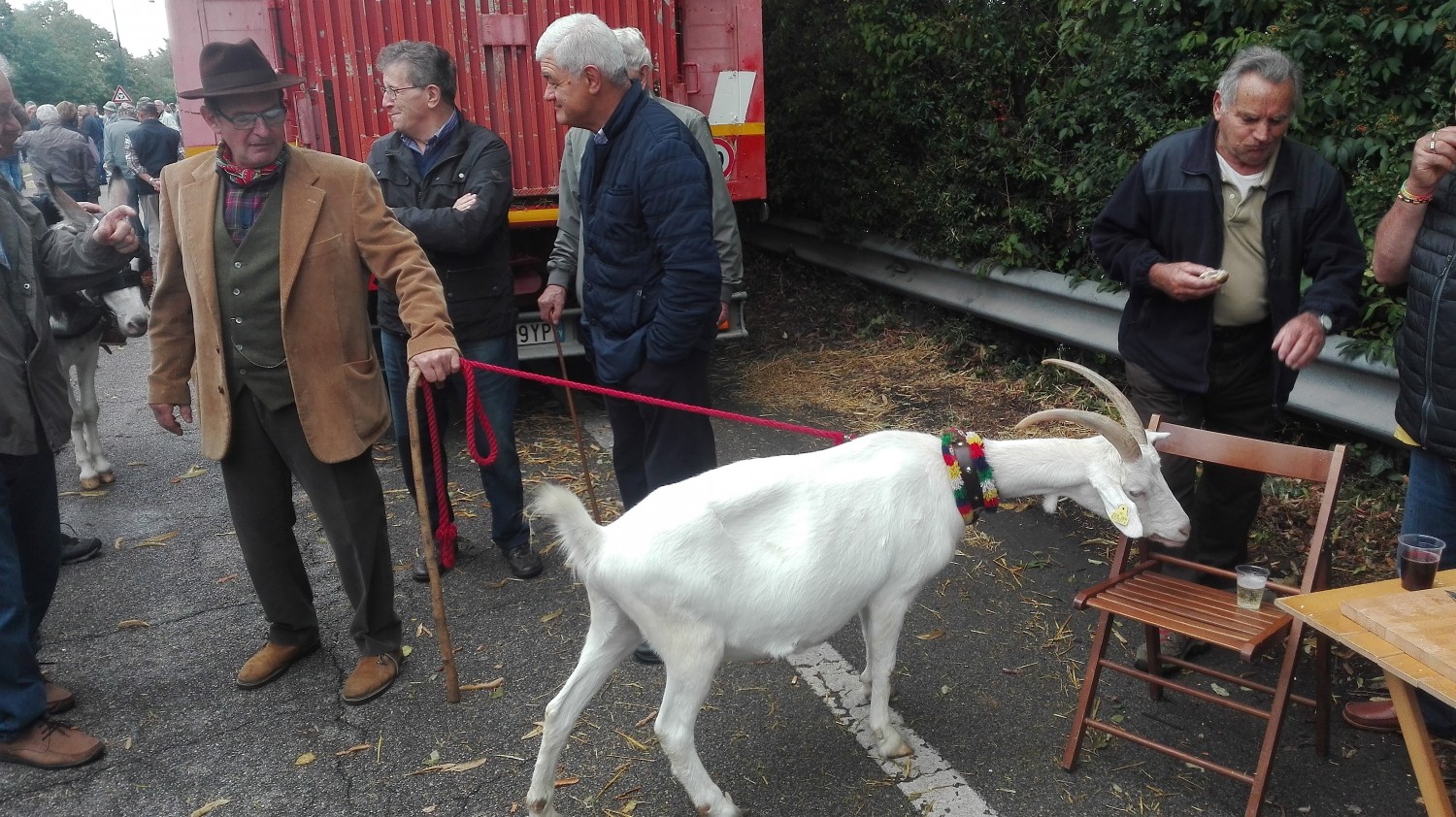 La Fattoria degli Animali