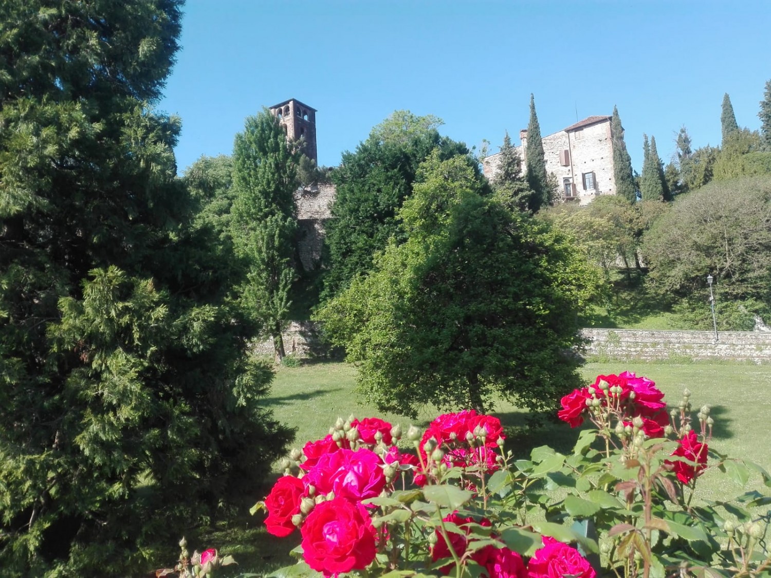 Tutte rose e fiori