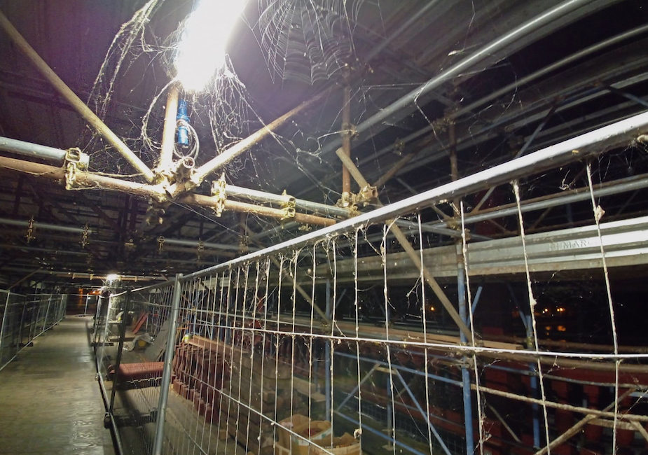 Spider-Bridge