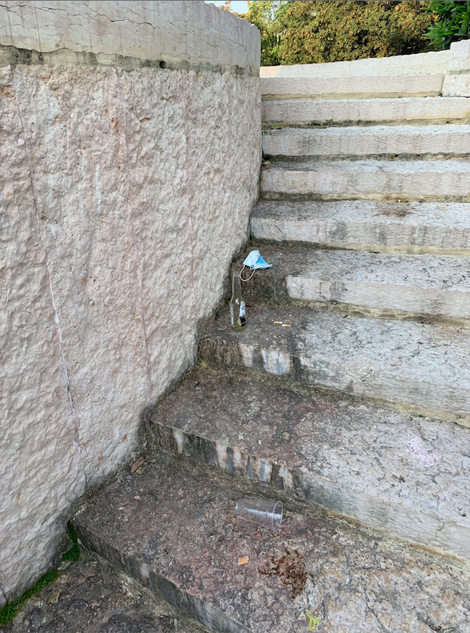 Parco Imbecilli del 2020