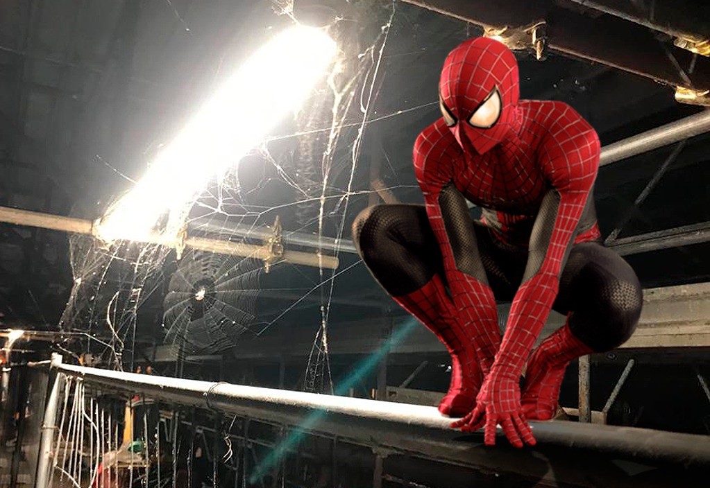 Spider City