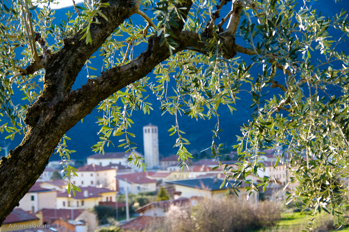 L’Olio si fa Strada