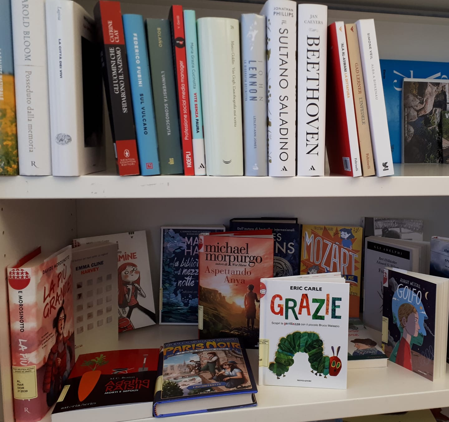 Nelle sale virtuali della biblioteca