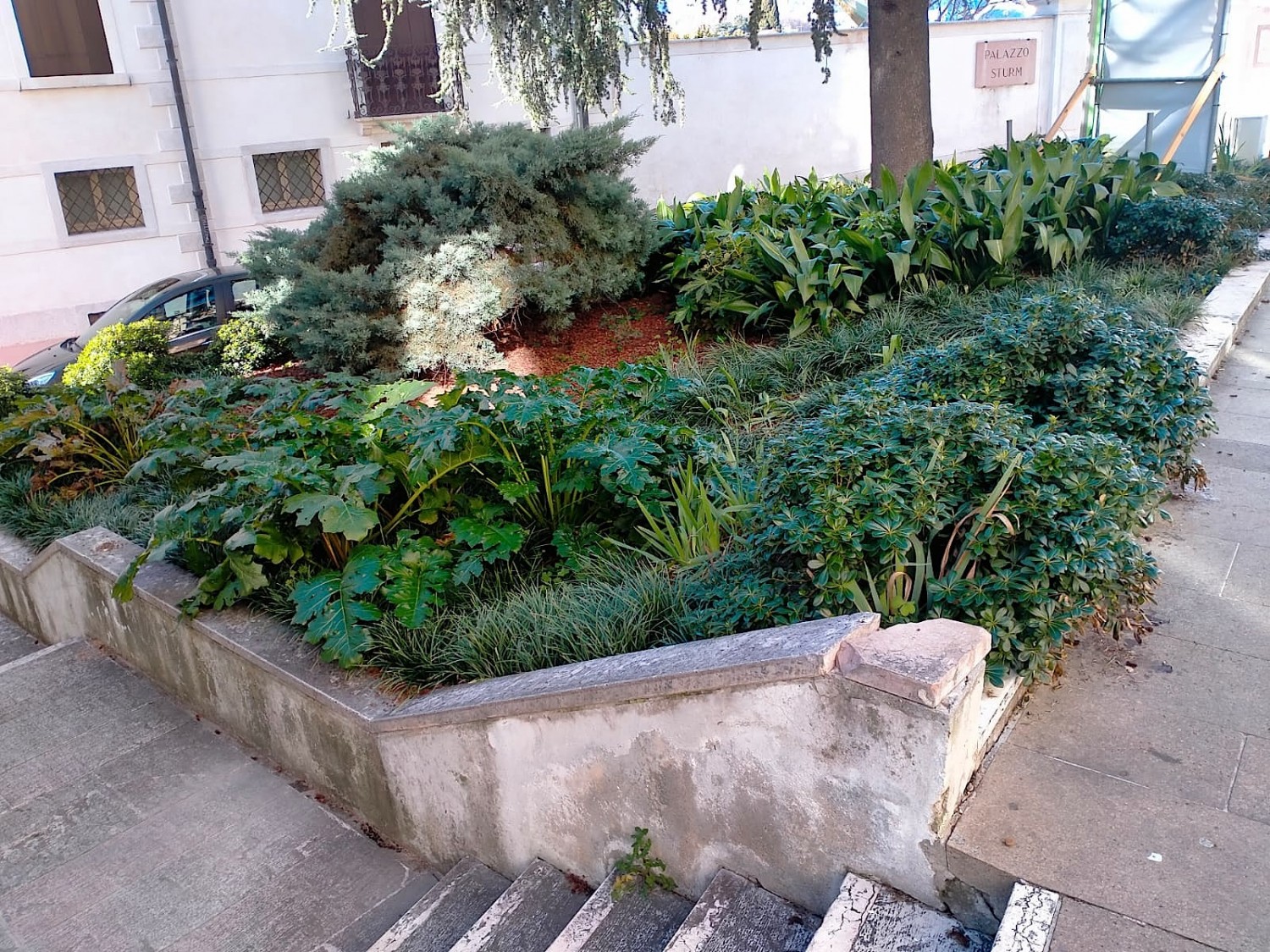 La città incolta