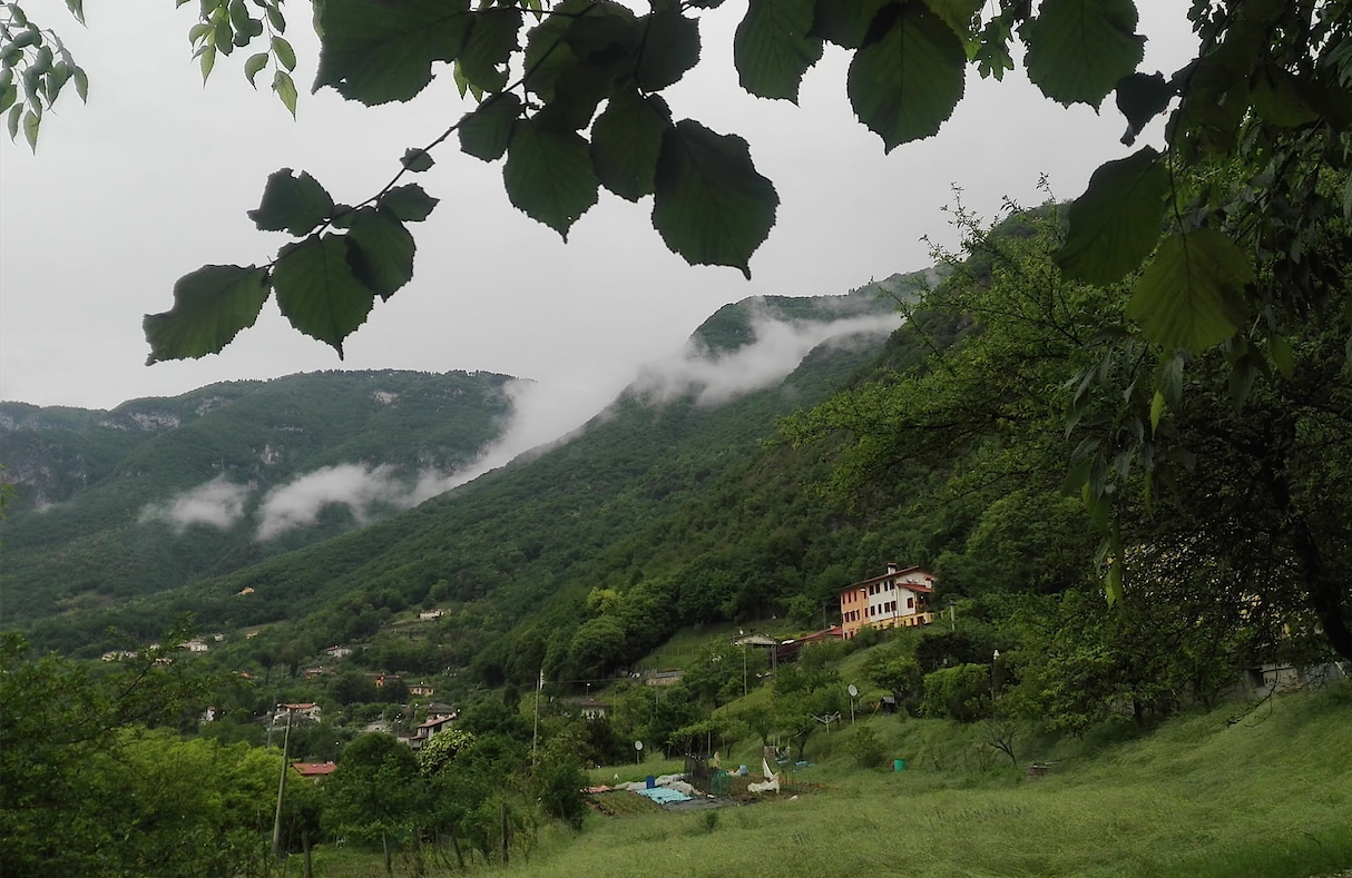 A.A.A. territorio cercasi