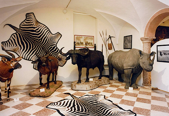 Zoo Station