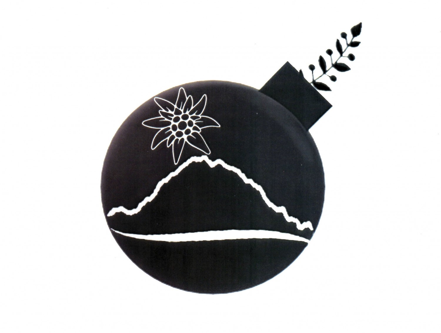 Il logo è una bomba