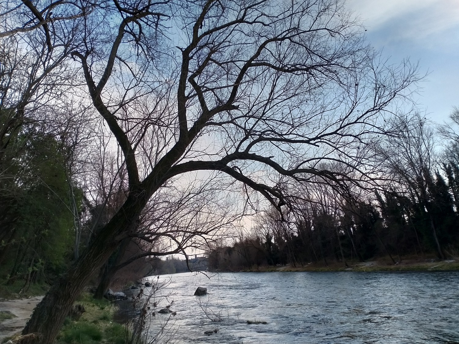 Fiume Verde